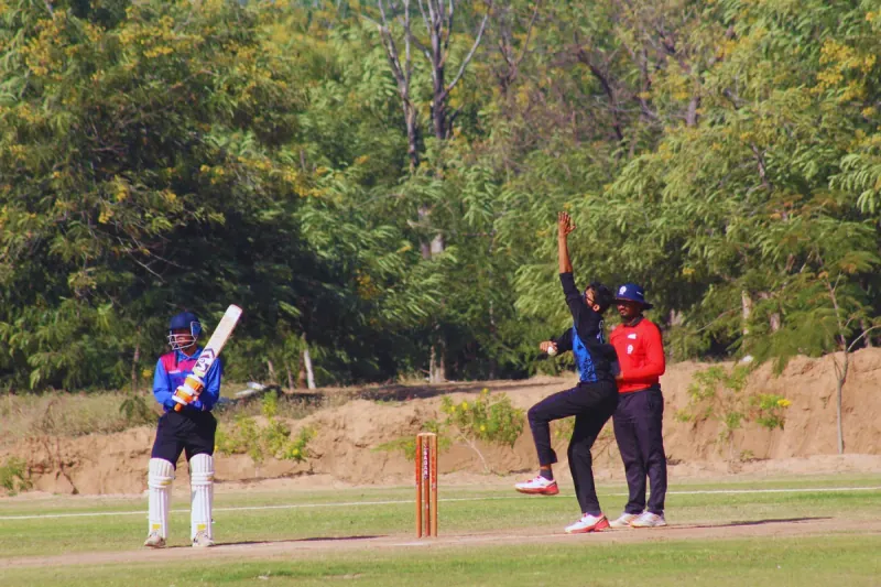 Cricket